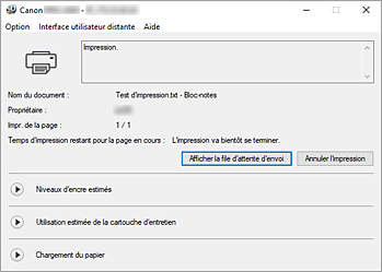 figure : Écran d'état d'imprimante Canon IJ