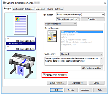 figure&nbsp;: Case à cocher Aperçu avant impression dans l'onglet Principal