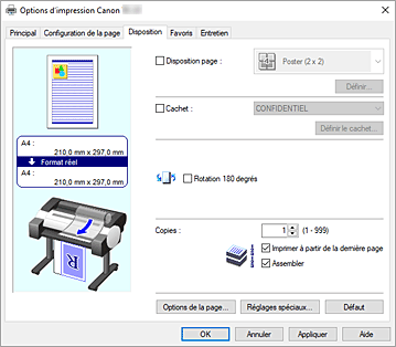 Figure : onglet Disposition