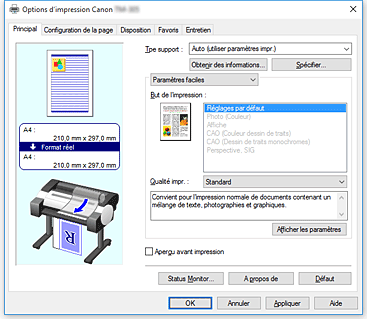 figure&nbsp;: Onglet Principal