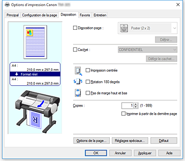 Figure : onglet Disposition