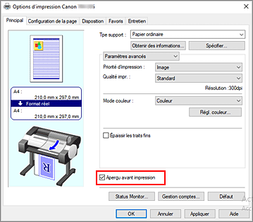 figure&nbsp;: Case à cocher Aperçu avant impression dans l'onglet Principal