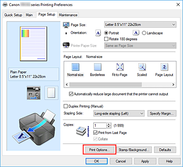 фигура: &bdquo;Print Options...&rdquo; в раздела &bdquo;Page Setup&rdquo;