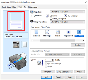 figure:Settings preview displayed on the Page Setup tab