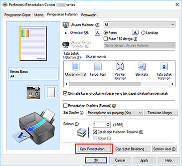 gambar: Opsi Pencetakan... pada tab Pengesetan Halaman