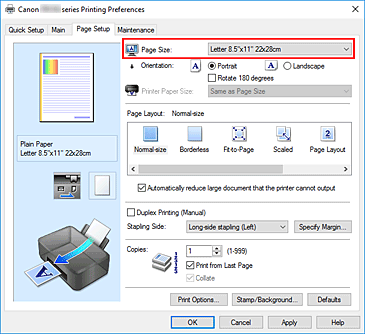 figura:Page Size din fila Page Setup