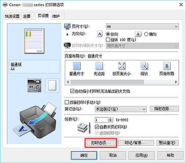 插图：“页设置”选项卡上的“打印选项...”