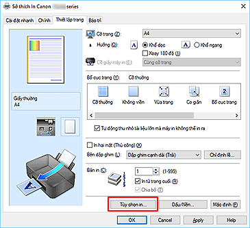 hình: Tùy chọn in... trên tab Thiết lập trang