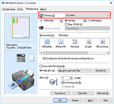 hình: Chọn Tùy chỉnh cho Cỡ trang trên tab Thiết lập trang