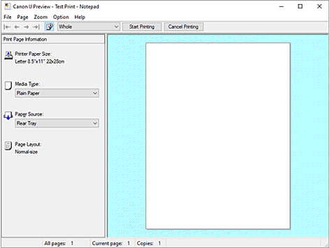 Imagen: Vista preliminar de Canon IJ