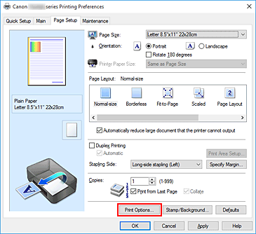 фигура: „Print Options...” в раздела „Page Setup”