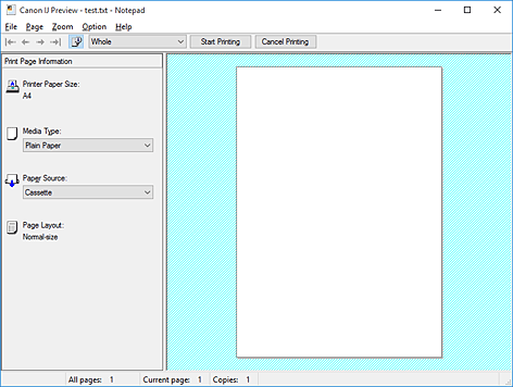 pav.: „Canon IJ“ peržiūra