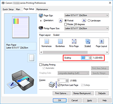 figura:Scaling din fila Page Setup
