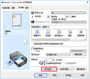 插图：“页设置”选项卡上的“打印选项...”