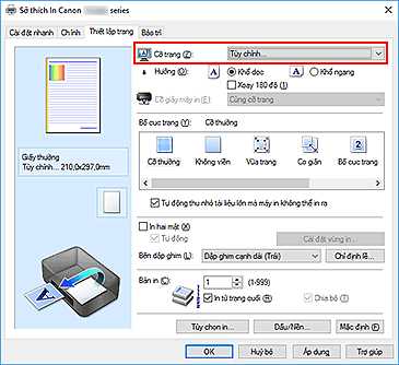 hình: Chọn Tùy chỉnh cho Cỡ trang trên tab Thiết lập trang