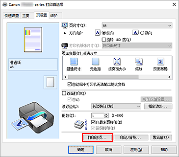 插图：“页设置”选项卡上的“打印选项...”