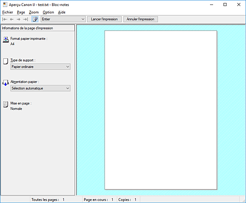 figure&nbsp;: Aperçu Canon IJ