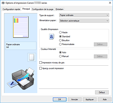 figure&nbsp;: Onglet Principal