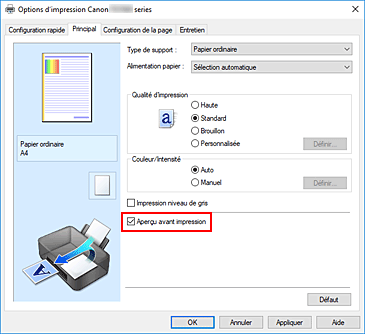 figure&nbsp;: Case à cocher Aperçu avant impression dans l'onglet Principal