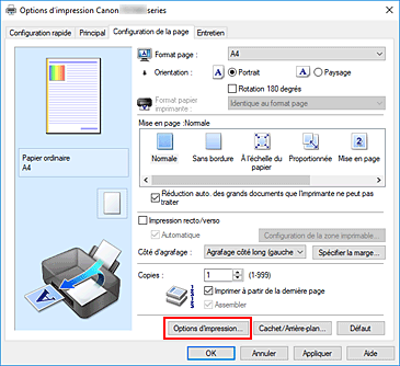 figure&nbsp;: Options d'impression... dans l'onglet Configuration de la page