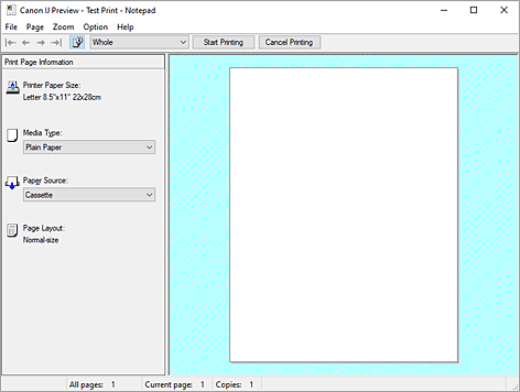 Imagen: Vista preliminar de Canon IJ