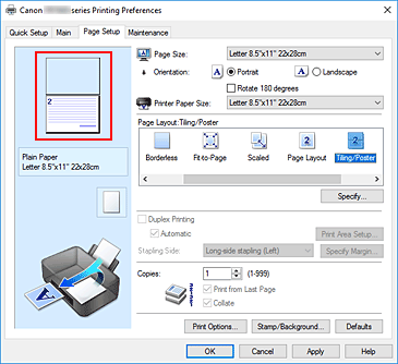 figure:Settings preview displayed on the Page Setup tab