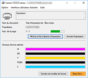 figure : Écran d'état d'imprimante Canon IJ