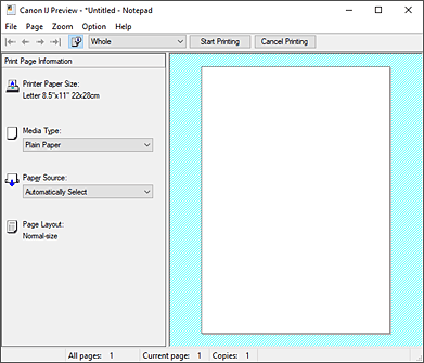 pav.: „Canon IJ“ peržiūra