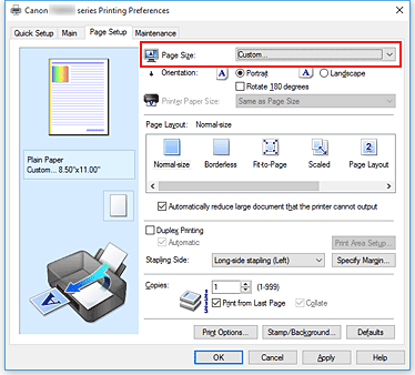 figura: Selezione di Personalizzato in Formato pagina nella scheda Imposta pagina