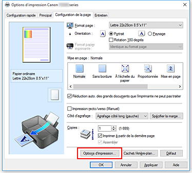 figure : Options d'impression... dans l'onglet Configuration de la page