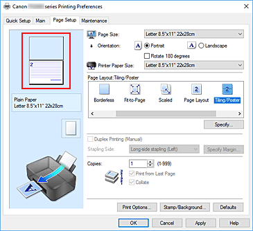 figure:Settings preview displayed on the Page Setup tab