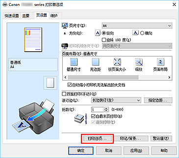 插图：“页设置”选项卡上的“打印选项...”