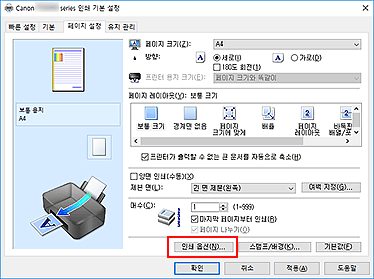 그림: [페이지 설정] 탭의 [인쇄 옵션...]