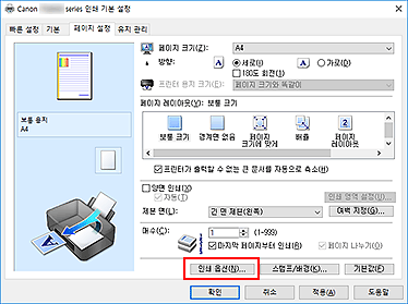 그림: [페이지 설정] 탭의 [인쇄 옵션...]
