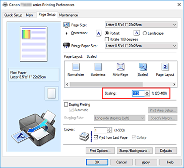 figura:Scaling din fila Page Setup