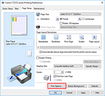 slika: možnost Print Options... na kartici Page Setup