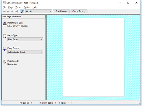 Imagen: Vista preliminar de Canon IJ