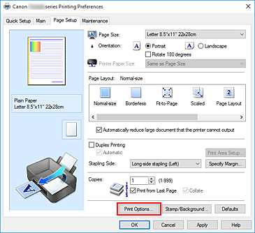 figure:Print Options... on the Page Setup tab