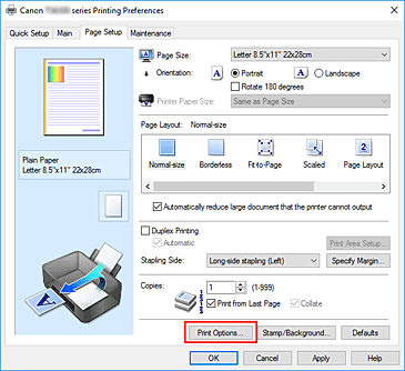фигура: &bdquo;Print Options...&rdquo; в раздела &bdquo;Page Setup&rdquo;