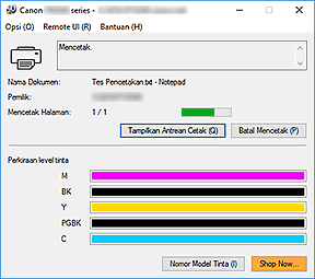 gambar: Monitor Status Canon IJ