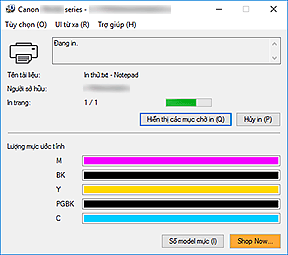 hình: Màn hình trạng thái Canon IJ