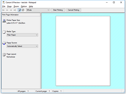 εικόνα:Προεπισκόπηση Canon IJ