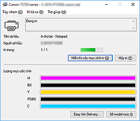 hình: Màn hình trạng thái Canon IJ