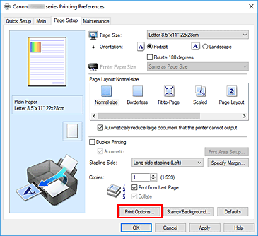 figure:Print Options... on the Page Setup tab