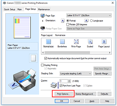 figure:Print Options... on the Page Setup tab