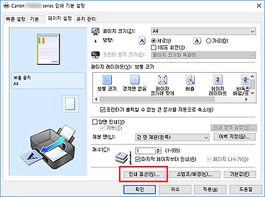 그림: [페이지 설정] 탭의 [인쇄 옵션...]