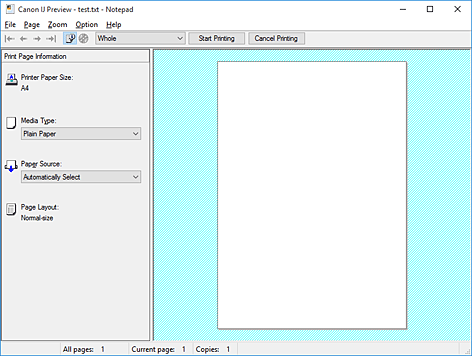 Imagen: Vista preliminar de Canon IJ