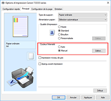 figure : Sélectionnez Manuel pour Couleur/Intensité dans l'onglet Principal.