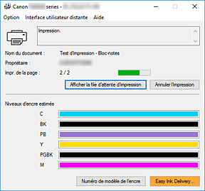 figure : Écran d'état d'imprimante Canon IJ