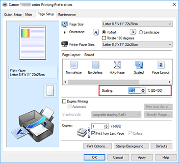 figura:Scaling din fila Page Setup